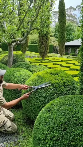 Way more on my Insta! 🌳🍃🍃 #topiary #handclipped #gardening #me #shortfilm #foryou #gardens #instagram  #art 