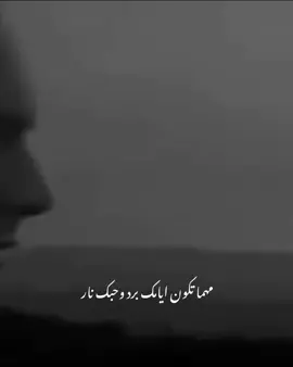 #مصطفي_قمر❤️ #مهما تكون ايامك برد وحبك نار #نيلي_كريم #مصطفي_قمر #جمد قلبك هفضل احبك ❤️❤️