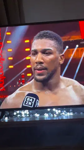 Anthony Joshua Win - the cat thinks it’s a fix 😂 #anthonyjoshua #fypシ #boxing #saudi #aj #viral #cat 