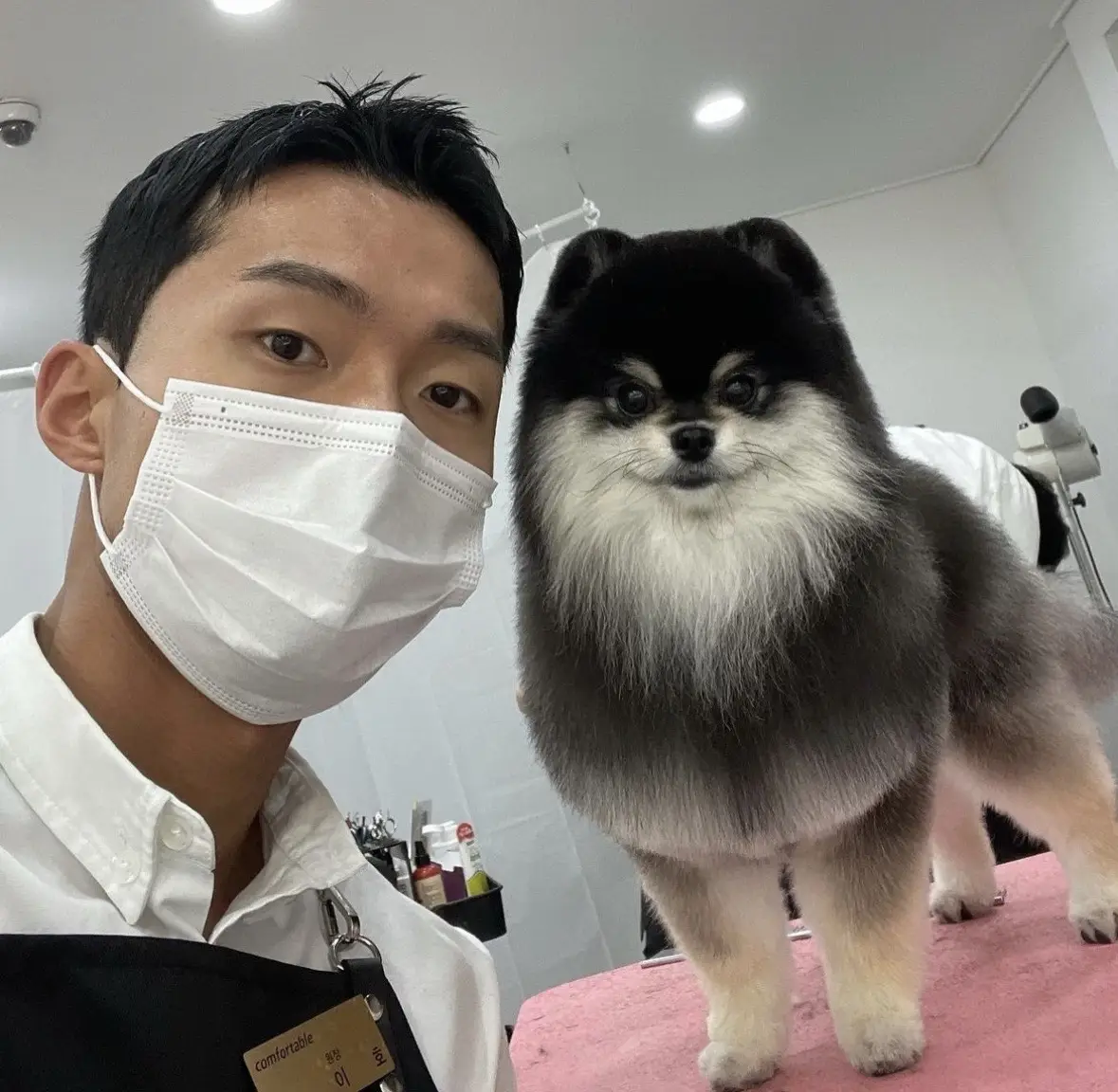 눈썹이 닮은 우리 #groomin #grooming #Love #dogsoftiktok #dog #pomeranian #lovely #puppy #fyp #반려동물 #강아지 #포메라니안 #foryou #포메미용 #포메틱톡 #viral 