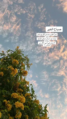 #CapCut #اكسبلورexplore #عشوائيات #funny #صباحيات #fyp #اقتباسات_عبارات_خواطر 