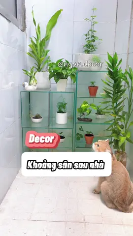 Đề co lại khoảng sân sau với tui nha #ngandecor #decor #diyhomedecor #DIY 