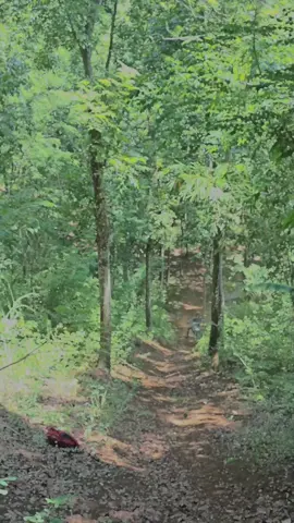 utamakan lambung 🗿