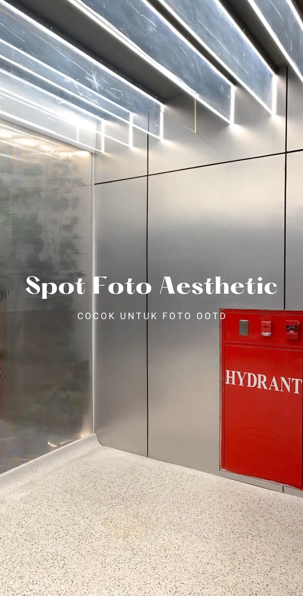 Cocok banget buat foto ootd biar makin cakeppp! #GayaDiTiktok #TikTokFashion #PlacesToVisit #cartenszmall #spotfoto #background 
