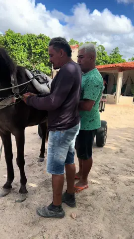 Cavalo brabo quebra carroça e sai louco nas ruas #video #viral #vaquero #cavalo #comedia 