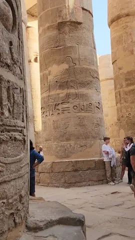 Detalhes das colunas do Templo de Karnak. #luxor #karnak #egypt 