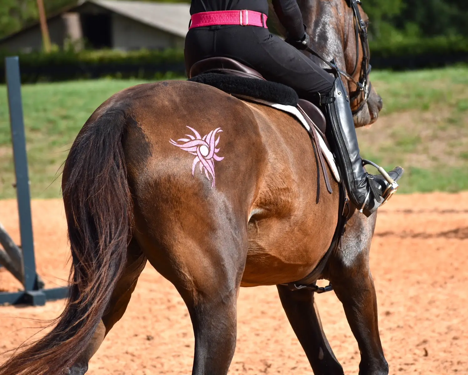 So many fun glittermarx designs!  We get asked all rhe time is it safe for the horse. Our design stencils stick to the horse to help you create the perfect glitter masterpeice!  Don’t worry, we are veterinarians and we have made sure that everything is 100% safe for the horse and rider!  We made sure that nothing will bother the horse; not the adhesive, not the sticky design, and not the glitter. It is all SAFE! It is all nontoxic and the adhesive is water soluable. #glitters #glitter #glitteryourride #mlp #horses #horsesoftiktok #glittermarx #horsebackriding #barrelracing #mylittlepony #eventing #crosscountry #rodeo #safe @aviator’s spam @#Mongoeventing @Sophie&Penny @sophie&maya @Penny & Lacey 