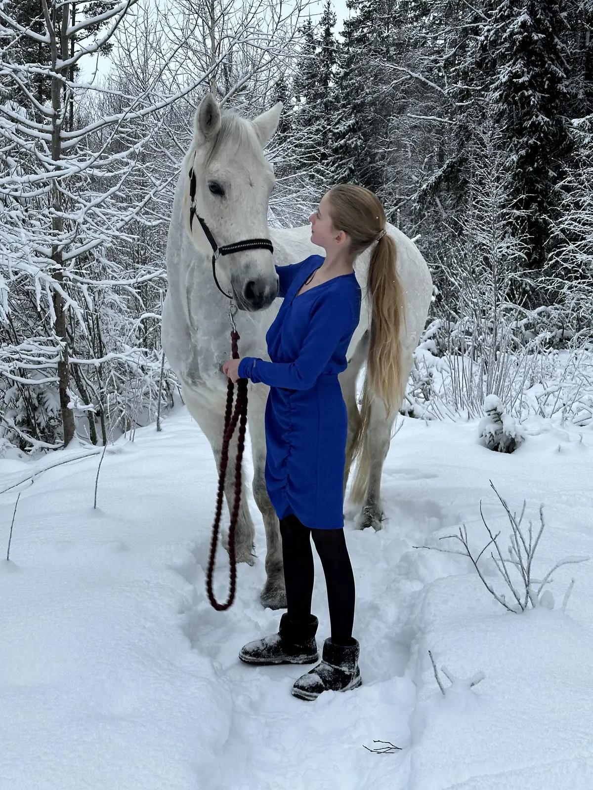 God jul fra oss til alle dere🎅 På siste bildet fikk vi plutselig en hund 😂😂😂 #ballytarsnaprince #tertit #jul #winterwonderland #christmas 