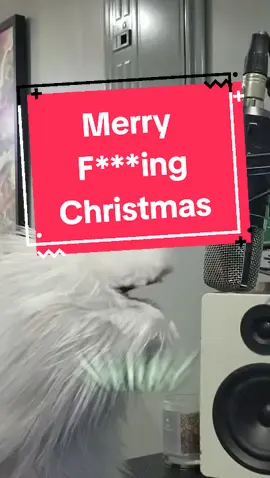 Merry Christmas everyone! 🎅  #ThisIs4You #humor #duet  #trending #winterbreak #entertainment