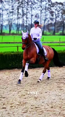 ⚘𝐕í𝐝𝐞𝐨 𝐌𝐨𝐭𝐢𝐯𝐚𝐜𝐢𝐨𝐧𝐚𝐥⚘ Porque é o que amamos!❤ 𝒊𝒏𝒔𝒑𝒊𝒓𝒆𝒅 𝒃𝒚:@_horse.editsz_ #horses#pferde#cheval#caballos#cavalos#equestrianworld#equestriansport#equestrian#horsemanship#horsejumping#dressagehorse#crosscountryhorse#barrelracing#horsebackriding#horseriding#motivationalvideo#horseeditor#horsesedits#horseedit#horsecontent#goviral#foryou#fyp#annehorses8 
