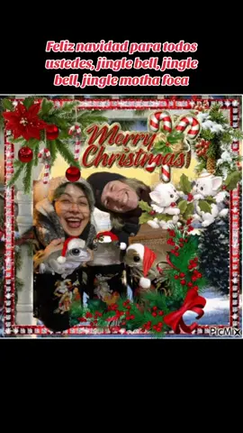 Merry Christmas everyone! Hopefully you’ll spend your holidays with the ones you love ❤️ doesn’t matter where you are, we all are deserving of love and kindness, besides lots of presents 🎁 have a nice dinner and good cheer with family and friends 🎄love and peace to all🥰🎅🏼