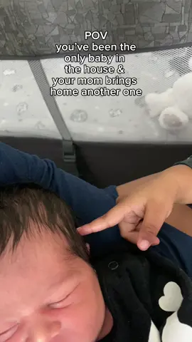 He definitely wasnt happy or impressed at first 😂  #fyp #MomsofTikTok #babiesoftiktok #2under2 #happyholidays #momtok #babytok #toddlertok #toddlersoftiktok #newborn 