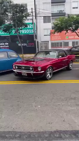 1967 Ford Mustang Fastback | 🎥 #Supercar #Cars #Viral #TikTokVideo #Modified #International #Luxury #Luxurycars #Dreamcars #Clscars #CLSCARS #clscarsmizou 