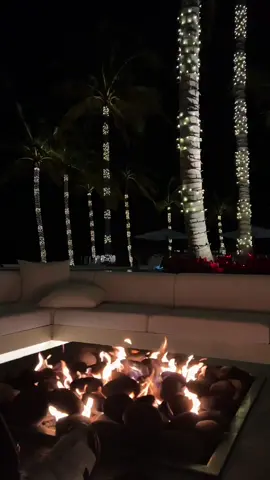 Christmas in Miami ♥️ 