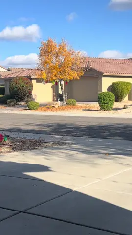 I feel like Arizona is confused about the weather. 