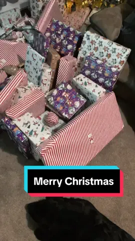 Merry Christmas Everyone 🎄 #merrychristmas #christmas #familychristmas #christmas2023 