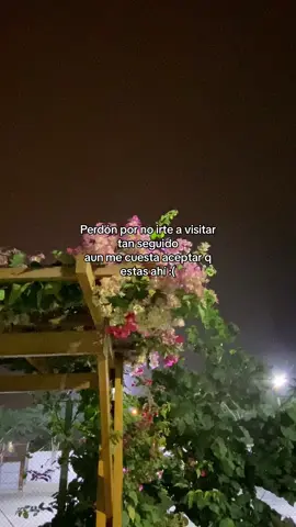 Aun no lo supero :( #viral #parati #perdon #teextrañotanto #mehacesfalta 