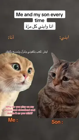 انا وابني بكل مرة يمسك تلفوني اشوف مفاجآت 😅#foryoupage #fyp #catsoftiktok #cats #قطط #ترند_القطط #القطط_المضحكة #Me#MemeCut #Meme #MemeCut 