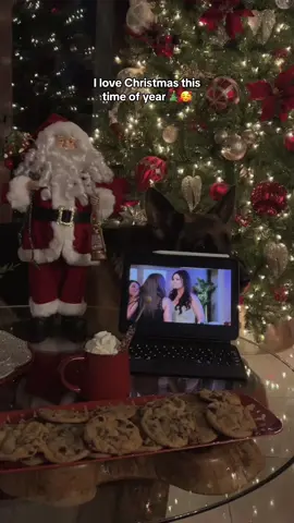 such a magical time 🥰 #christmaseve #comfortshow #jerseyshore #christmastime 