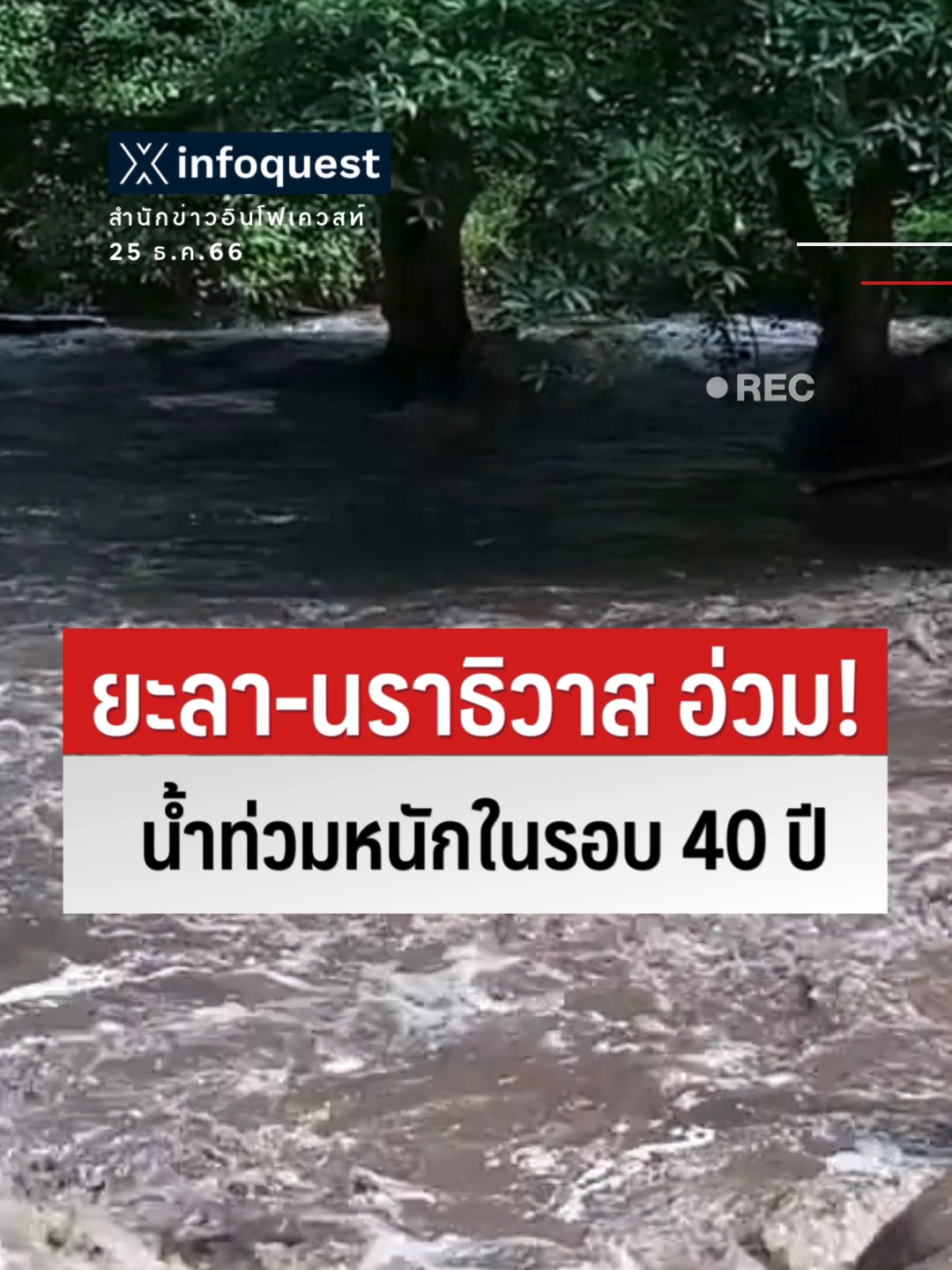 #ยะลา-#นราธิวาส อ่วม!#น้ำท่วมหนักในรอบ 40 ปี#ข่าวtiktok#ภาคใต้น้ําท่วม #ฝนตกหนัก #น้ําป่าไหลหลาก#อุทกภัย#อินโฟเควสท์#infoquestnews