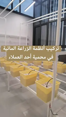 تركيب وتجهيز محمية العميل في البحرين بأنظمة الزراعة المائية 🌿💧⚒️ #الزراعة_المائية #البحرين #hydroponics #زراعة_منزلية #محمية 