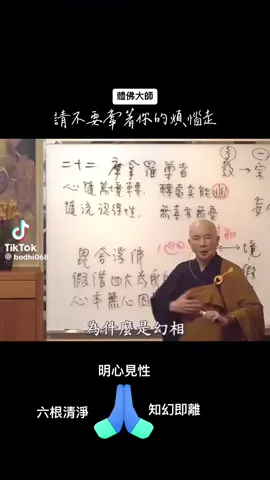 #體佛大師 #圓覺經 #心經 #六祖壇經 #金鋼經 #佛法 