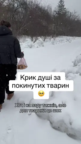 #тварини #покинутітварини #волонтери 