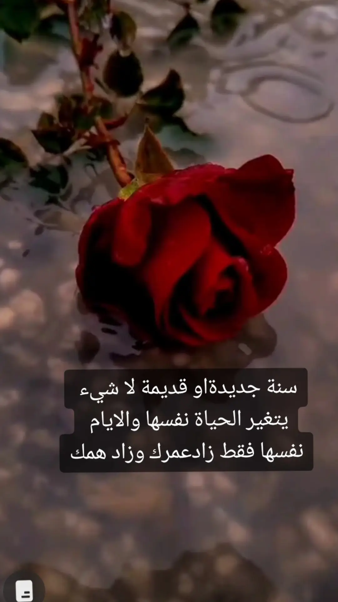 #🥀🖤 #لب_سوريا_تركيا_اسطنبول #@اميرة بهدوئي 