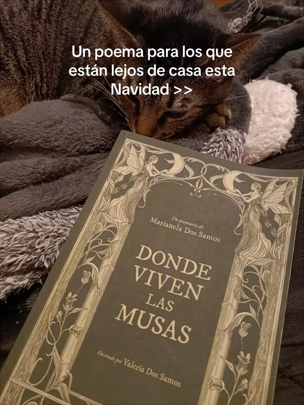 Quiero hacerles llegar un cálido abrazo navideño a todos, especialmente a aquellos que hoy extrañan su hogar. 🤍 #poesia #poema #venezolanosenelmundo  