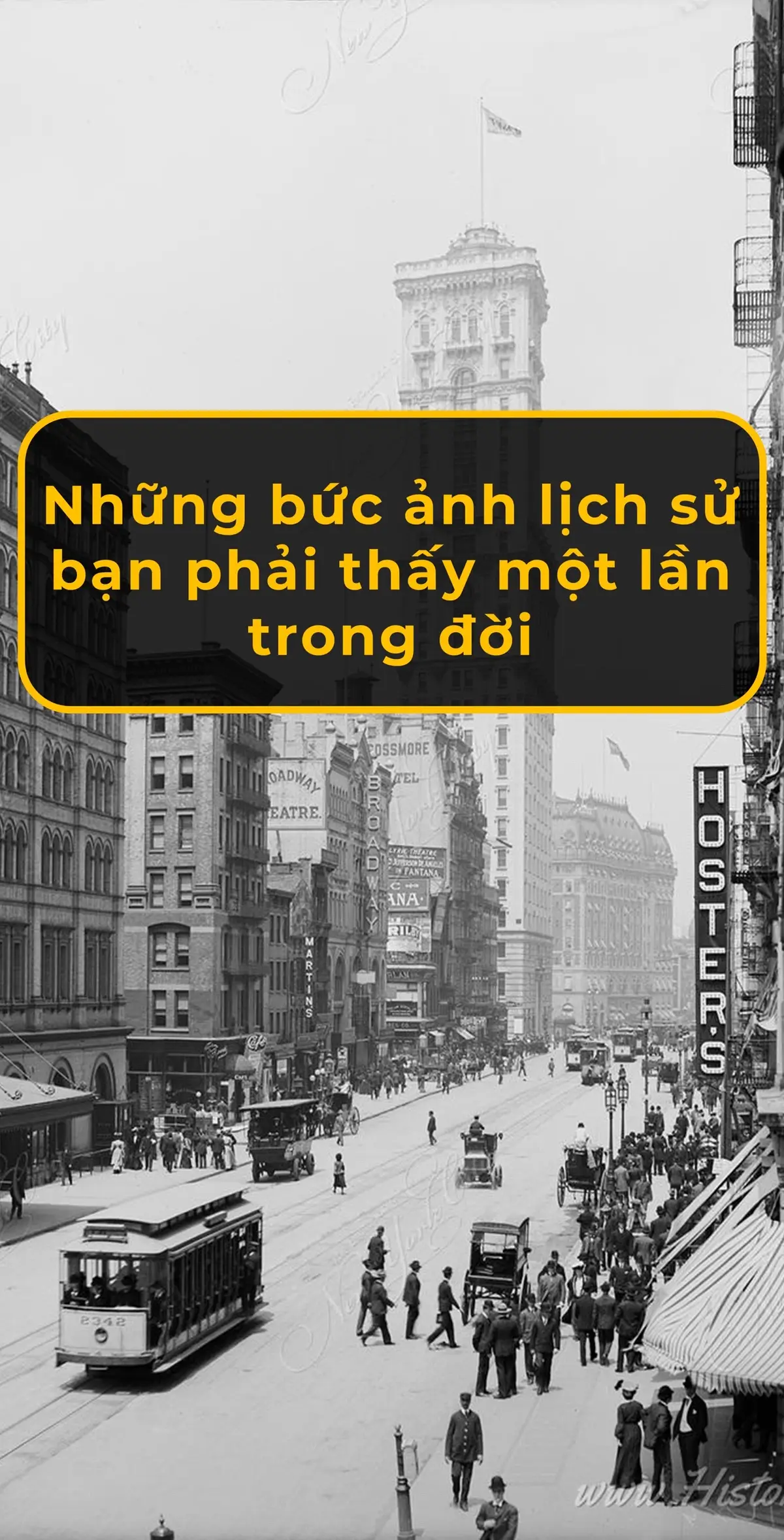 Những bức ảnh lịch sử đầy giá trị #kienthuc #thuvi #lichsu #hochiminh #anhdep #pictures #cothebanchuabiet #slideshow #xuhuong 