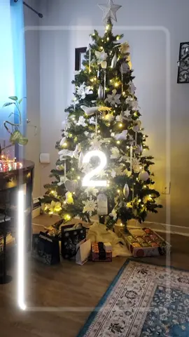 Merry Christmas to one and all. 🎅🏼🎄