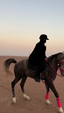 رعد ♥️🔥#خيل_وخياله🐎 #♥️♥️🐎♥️♥️ 