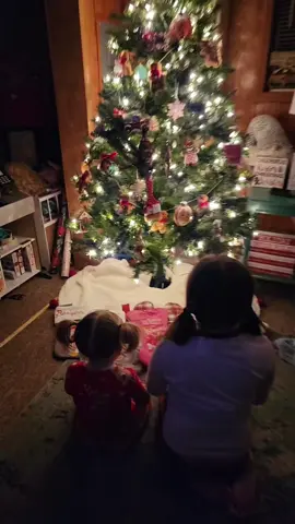 Merry Christmas! #christmas #santa #elf #kids #santacame #presents #gifts #excited #christmastree #christmas2023 #2023 