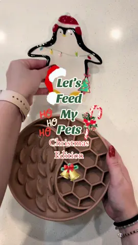 Merry Christmas 🎄❤️ #feedmypets #catfoood #dogfood #catmom #dogmom #feedmycat #feedmydog #petfood #Christmas #christmasbreakfast  #CapCut  