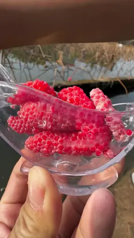 The crunch is so satisfying!