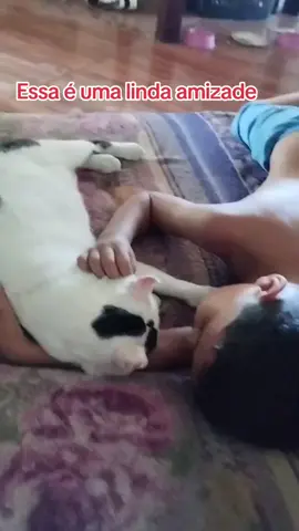 Esse gatinho chegou aqui muito machucado e com medo, ele só deixava meu filho tocar nele, aos poucos ele foi tomando confiança na gente, nós permitindo cuidar dele dar carinho, passar remédio nas feridas e meu filho foi se tornando o melhor amigo dele, os animais são verdadeiros anjos na terra, sempre que puder ajudar um animal de rua, ajude eles não tem culpa de estar na rua. 🥺 Feliz natal pra Todos.  #FelizNatal #fypシ゚viral #fypシ #viralvideo #adoteumamigo #adotei #adoteumgato #adoteumamigo #fypシ゚viral #fypシ゚viral #fypシ #viralvideo #FelizNatal #FelizNatal #FelizNatal #adoteumamigo #criancasautistas 