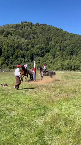 1er Clasificatorio de jineteadas en Alto Palena.  #tradiciones #patagoniachilena #jineteadas #Palena #altopalena #tradiciongauchesca #tradicionycostumbres #surdechile 
