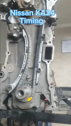 Nissan KA24 timing #fyp #foryou #fypシ #foryoupage #viral #tiktok #CapCut 