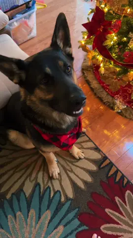 sassy boy