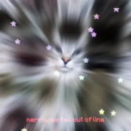 Wassup its been a minute #cat #cats #fyp #fy #catsoftiktok 