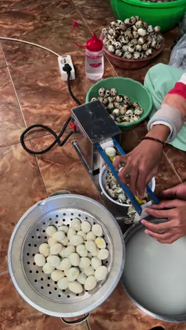 alhamdulillah, kebeli mesin pengupas telur puyuh😇🥰 sangat memundahkan sekali pake alat ini. Krna tiap kali produksi 10-15kg telur puyuh #semboro #semborojember #kulinertiktok #cilokbumbukacang #pentolviral #camilanjember #fyp #cilokviral #makananpedas #fypシ#cilokkuah #jembertiktok #cilokaciisitelur #makanananakkosjember #resepbakso #tahuaci #baksoayam