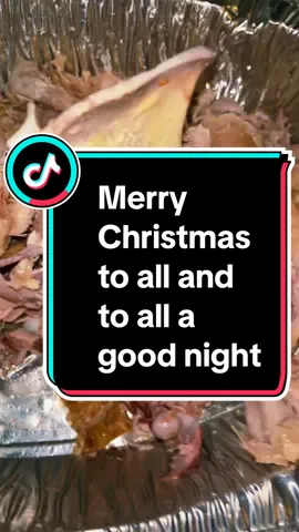#merrychristmas to sll my platefam ♥️🎄🎅 #food #Foodie #foodtiktok #FoodTok #FoodLover #foodies #foodreview #xmas #christmas #viral #entertainment 