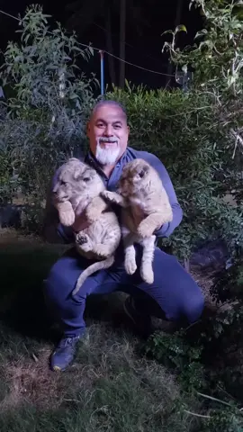 انثى + ذكر اسودات بغداد الاعظميه شارع المشاتل مشتل مهند كريم المهناوي ٠٧٧٢٥٤٧٢٢٥٩ او ٠٧٩٠١٣٠٢٨٦٢ 