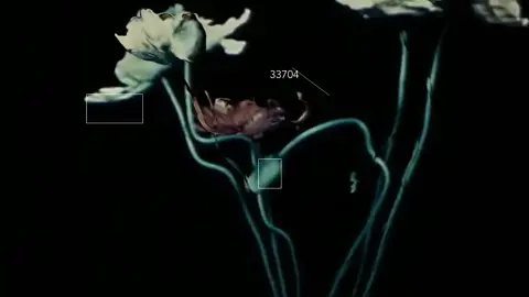 there's something interesting about the tension between organic, flowing nature and the rigid, mechanical overlay of data. With the advancements in AI and blob tracking most humans are living in a surveillance garden. Is that beautiful or unsettling? I wanted to experiment in #touchdesigner with a trend I've been seeing. Check out @nouses_kou work if you're interested in seeing more things like this. 