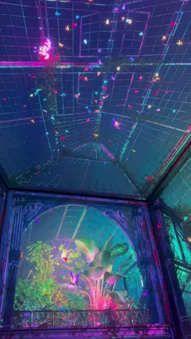London’s free immersive experience 🦋 #fyp #london #thenowbuilding #thingstodoinlondon #outernet #artinlondon #traveltiktok #immersiveexperience #foryoupage 