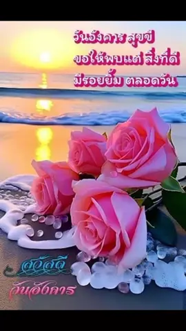 #เทรนด์วันนี้ #สุขสันต์วันสีชมพูครับ#ขอให้เป็นวันที่ดีมีแต่ความสุขครับ #ขอให้พบเจอแต่สิ่งที่ดีมีแต่ความสุขครับ #คิดหวังสิ่งใดขอให้ได้สมปรารถนาครับ #สุขกายสุขใจสุขภาพแข็งแรงครับ #ขอบคุณมากครับกับการรับชมรับฟังครับ 