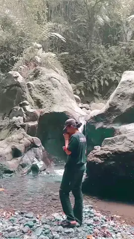 🍃