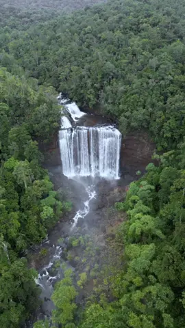 Quite place n hidden gem in the middle of the forest in Konawe - Routa🍃 #routa #konawe #scm #sulawesicahayamineral #nickel #tambang #mining 