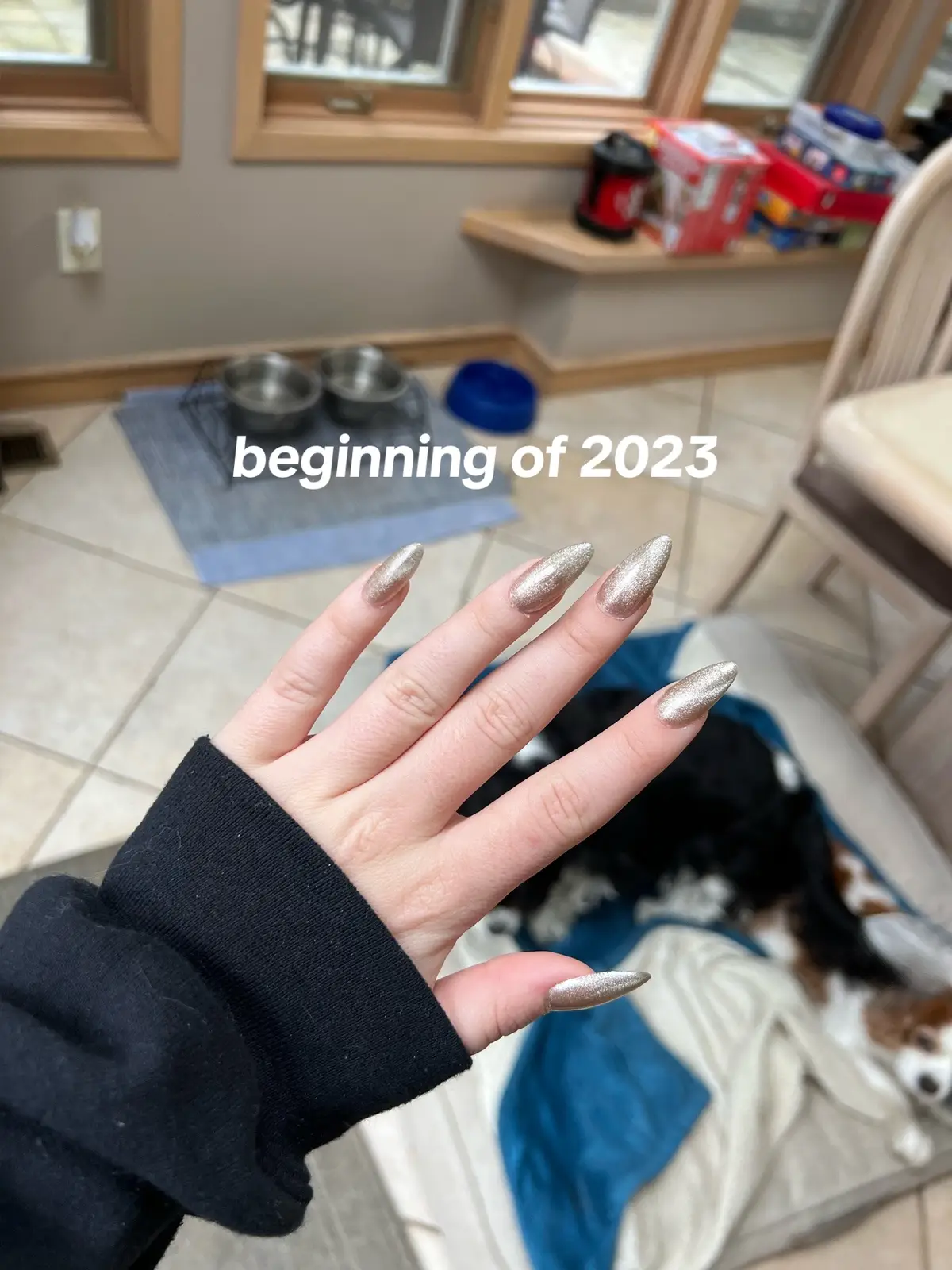 january me wouldve never believed this happened this year 🥰💌💍 #engaged #2023 #engagementring 