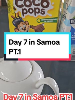 Day 7 in Samoa PT.1 #saleaula #saleaula❤️ #saleaulatiktok #saleaulasavaii📌 #saleaulalavafield #swimmingwithturtles #turtles #wetland #virginsgrave #taupousgrave #stevensonsatmanase 